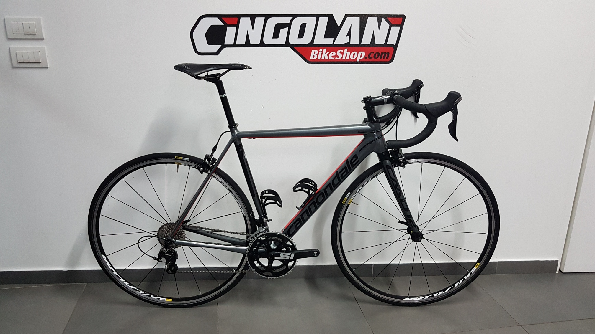 Caad12 2017 store